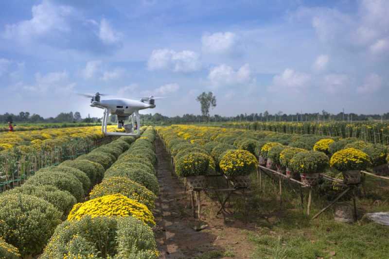 Produtividade no Campo
